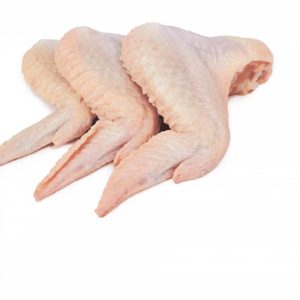 Frozen 2 Joint Wing