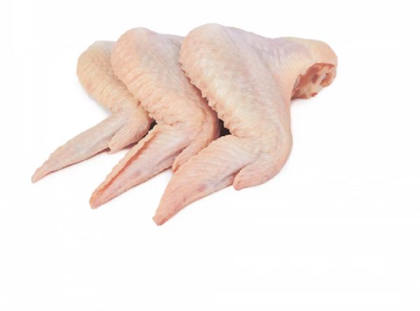 Frozen 2 Joint Wing